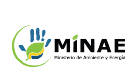MINAE logotipo