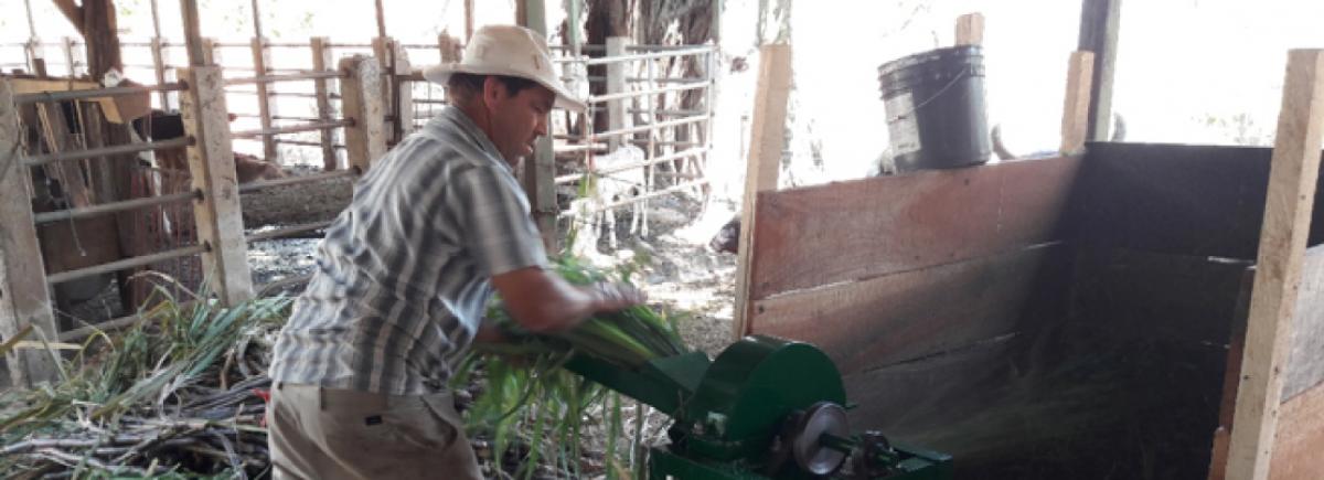 Conservación y protección de los recursos naturales en los sistemas   silvopastoriles, para mejorar la sostenibilidad de las fincas ganaderas de la cuenca del Río Jesús María